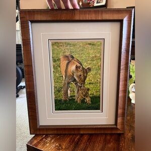 Thomas Mangelsen, The Babysitter